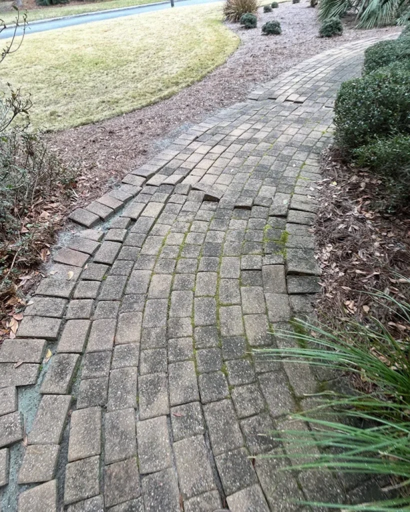 Broken+slipping+edge+and+roots Broken+slipping+edge+and+roots